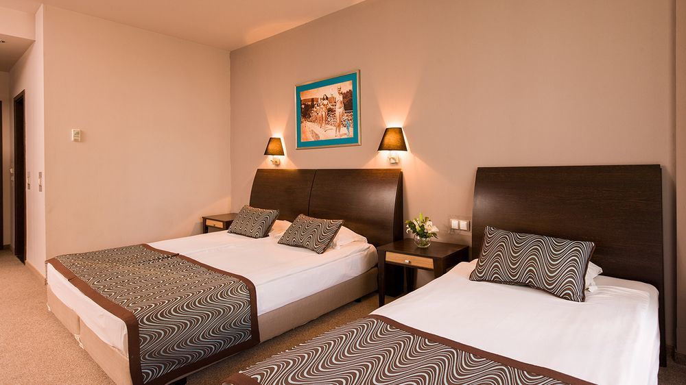 Astera & Spa 4*